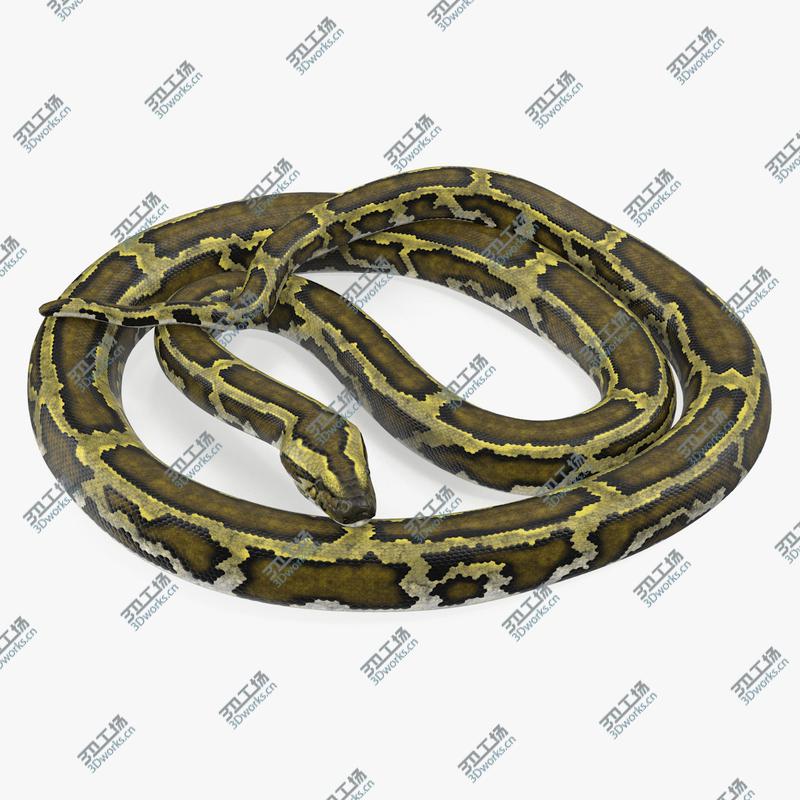 images/goods_img/2021040163/3D model Green Python Snake Curled Pose/1.jpg